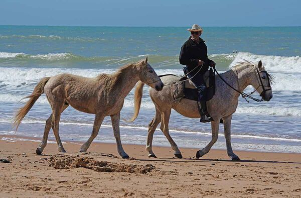 Reiter am Strand sieht man oft in El Palmar Andalusien