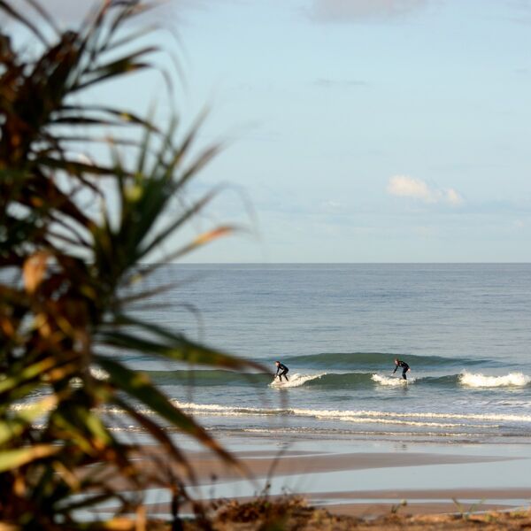 Palmen und Wellen an einem der surfspots spanien