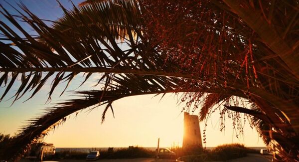 Vor dem A Frame Surfcamp sieht man Palmen und den Turm im Sonnenuntergang.