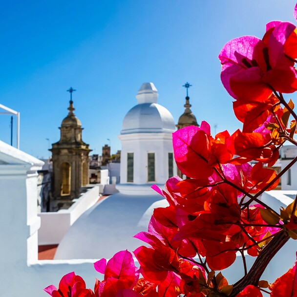 Cádiz Türme und Blumen