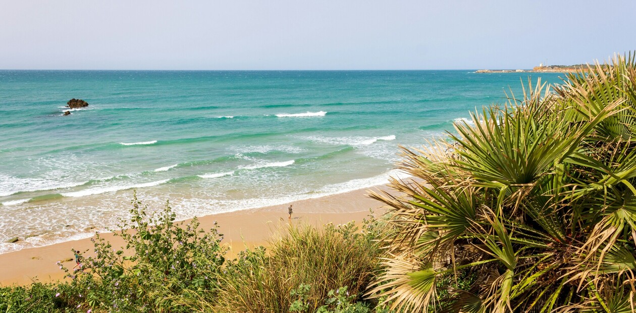 Conil Surfen, Strand und Palmen, blauer Himmel