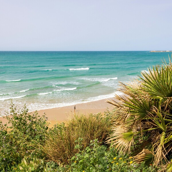 Conil Surfen, Strand und Palmen, blauer Himmel