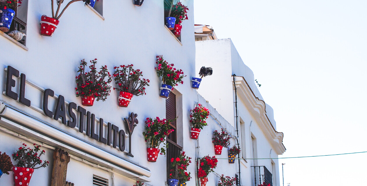 Blumen an Hauswand in Conil
