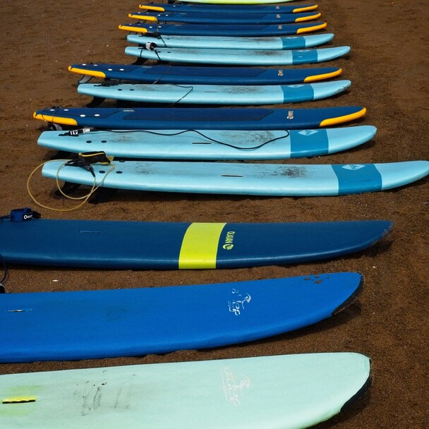 Soft-top surfboards and leashes in a row on the beach