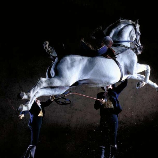 Ballet performance with horses