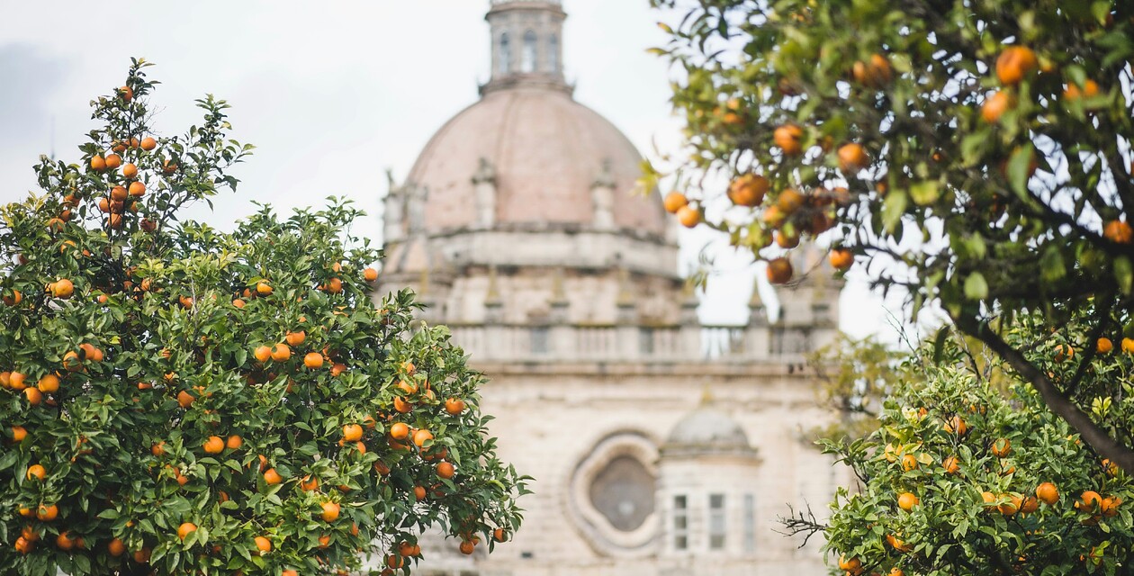 Sehenswürdigkeiten Andalusien, Orangenbäume und Kirche in Jerez de la Frontera