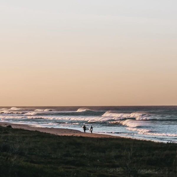 Reading the surf forecast on the beach