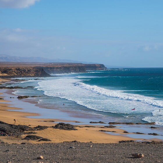 fuertevenura surfen