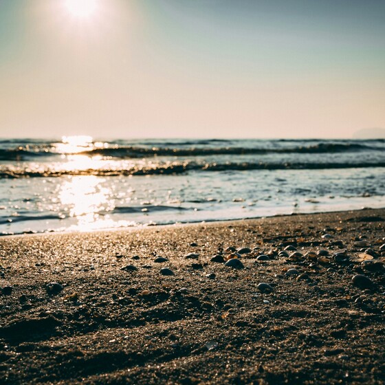 Surfen Rügen