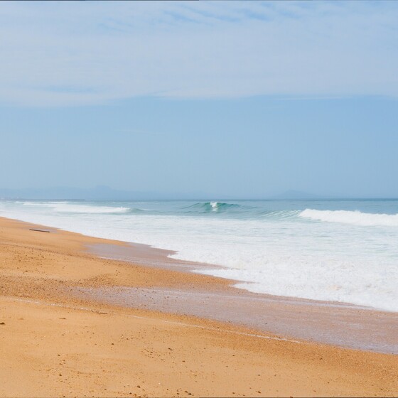 Surfen Le Landes