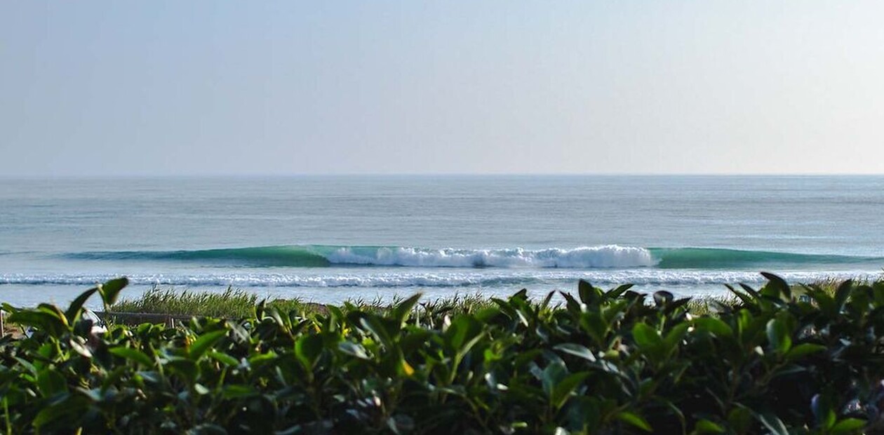 Surfen in Andalusien, El Palmar, Welle und Strand mit Sträuchern