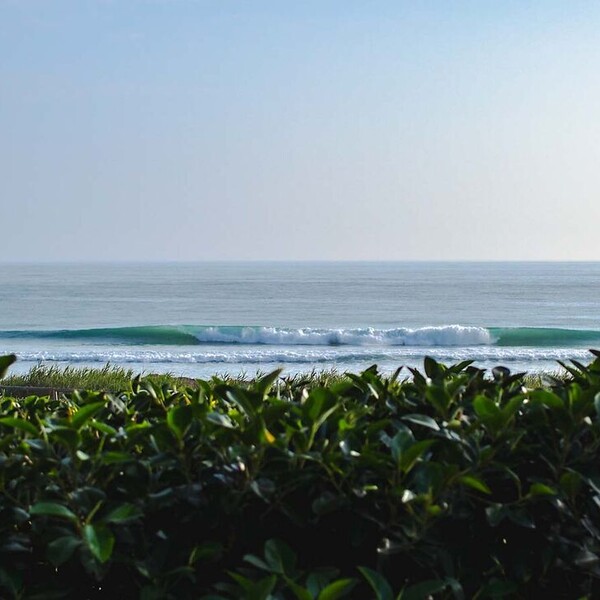 Surfen in Andalusien, El Palmar, Welle und Strand mit Sträuchern