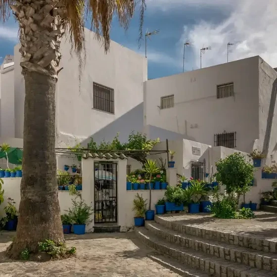 Blumen auf Straße Vejer de la Frontera