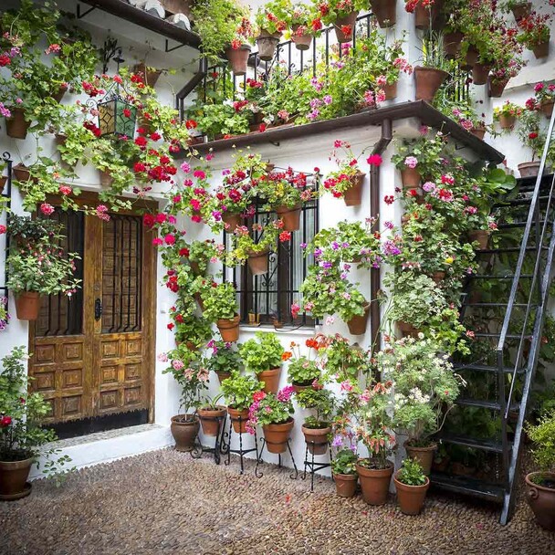 Courtyard with flowers at the yoga retreat in southern Spain