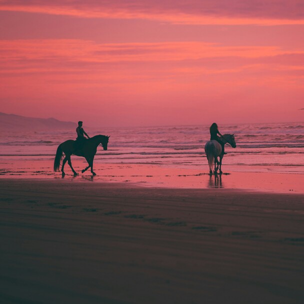 Reiten am Strand Andalusien