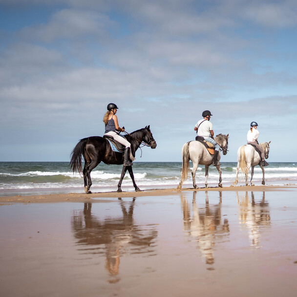 Horse riding on the beach Andalusia