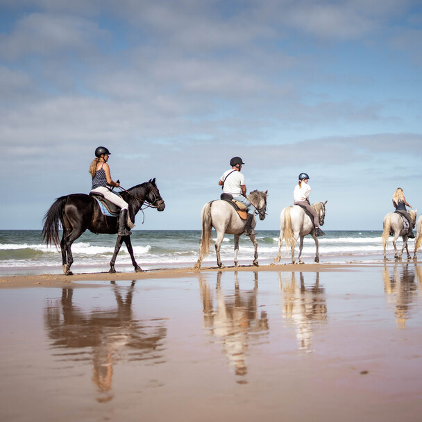 Reiten am Strand Andalusien