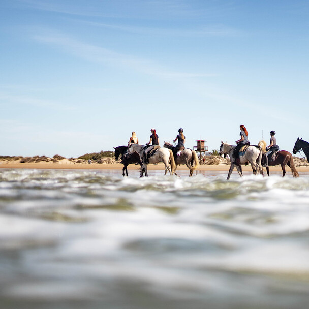 Horse riding on the beach Andalusia