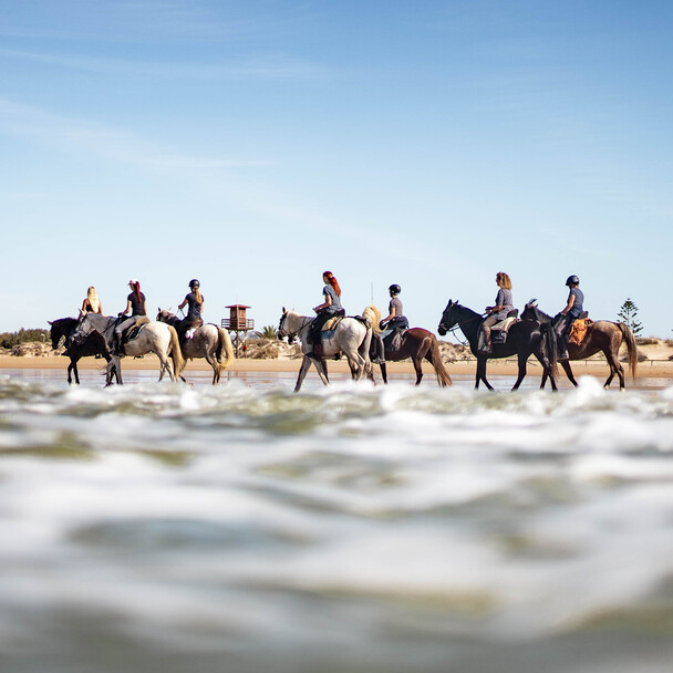 Reiten am Strand Andalusien