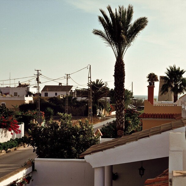 El Palmar, streets with palm trees