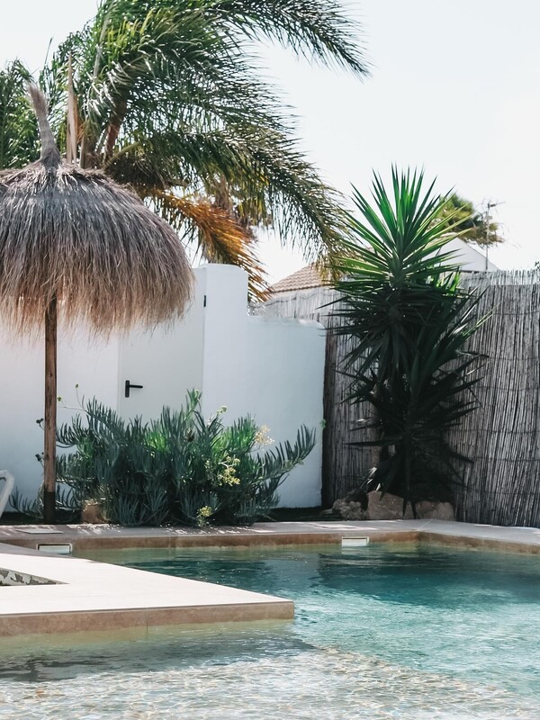 A-Frame Oasis Surfcamp Spain, pool and palm trees