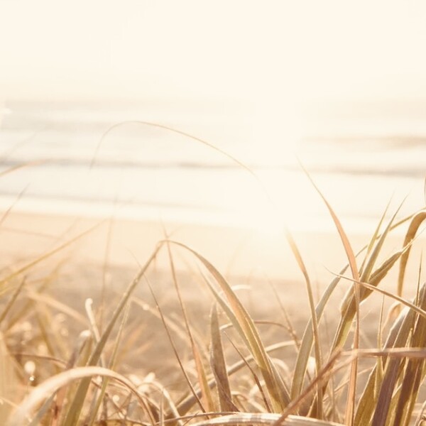 Yoga Retreat am Strand