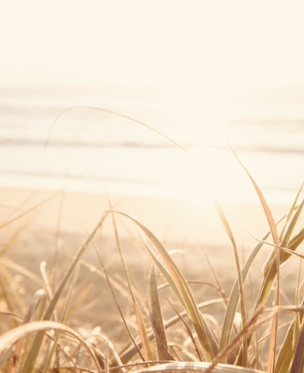 Yoga retreat on the beach