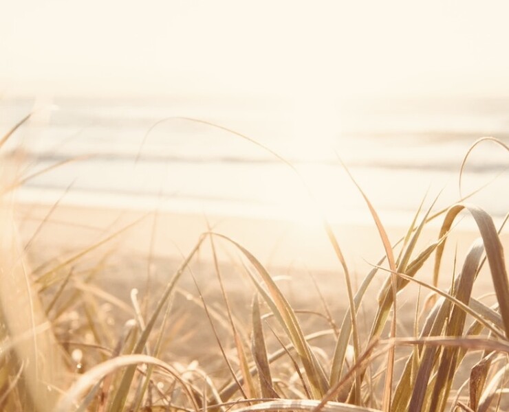 Yoga retreat on the beach